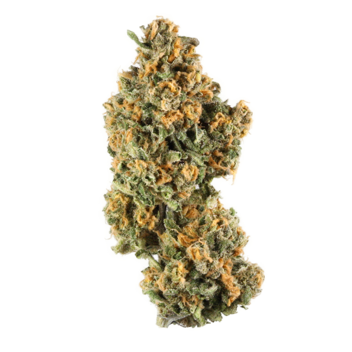 $90 Oz, $250 Qp, $480 Hp, $890 Lb – Goudaberry - Hybrid - AAA+