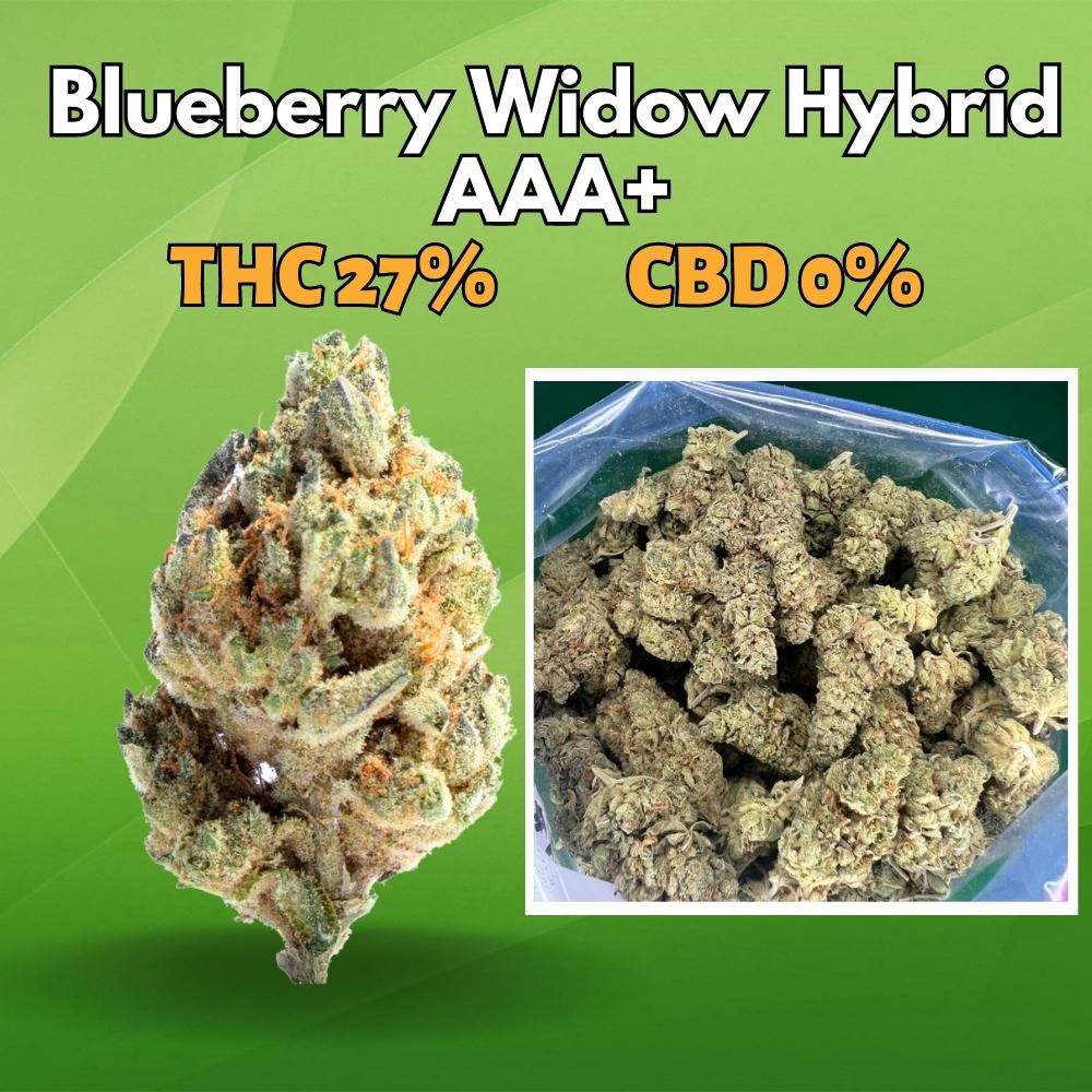 $89 Oz, $250 Qp, $480 Hp, $890 Lb – Blueberry Widow - Hybrid - AAA+