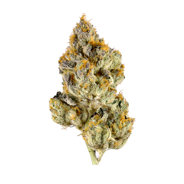 $75 Oz, $230 Qp, $420 Hp – Galactic Jack - Sativa - AAA