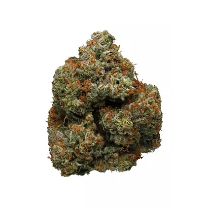 $75 Oz, $230 Qp, $420 Hp, $780 Lb – Jedi Kush – Hybrid – AAA