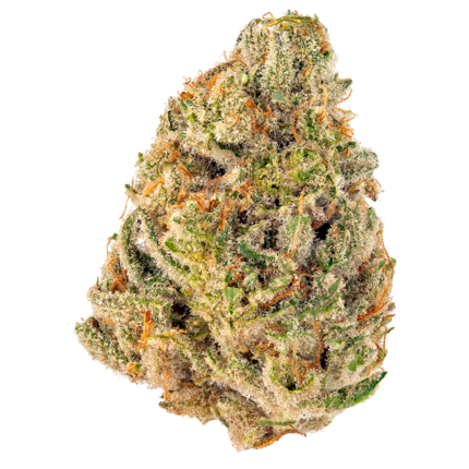 $90 Oz, $250 Qp, $480 Hp, $890 Lb – White Cherry Truffle - Hybrid - AAA+