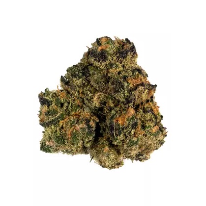 $385 Half Pound – Sunset Sherbert Hybrid AAA