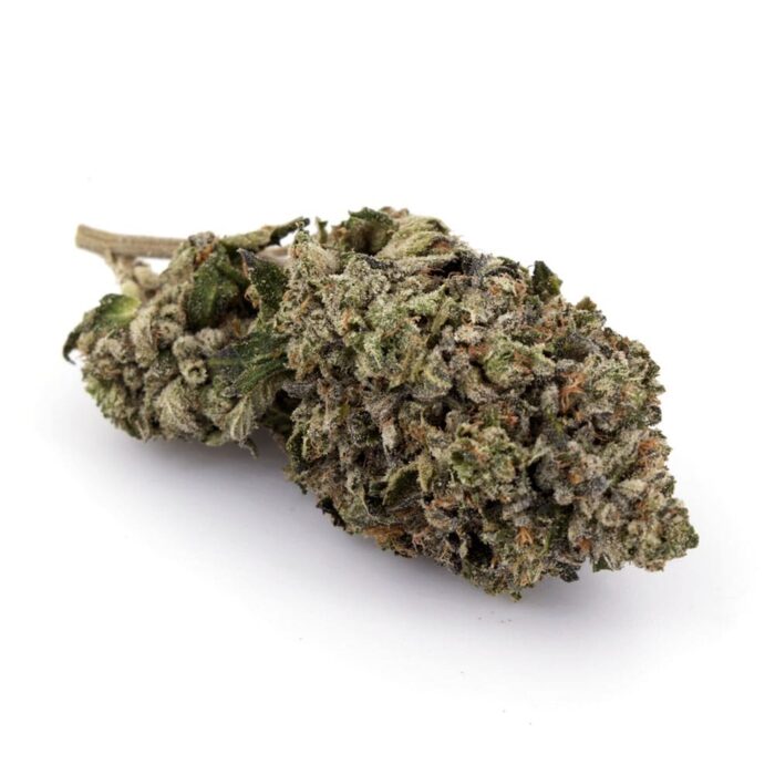 $75 Oz, $230 Qp, $420 Hp, $780 Lb – Lindsay OG - Hybrid - AAA