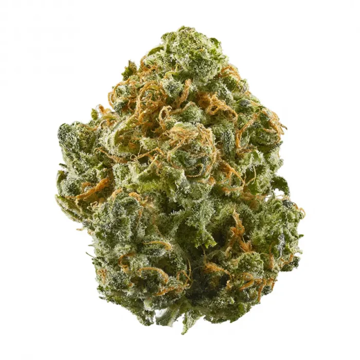 $1295 Pound - Iron Maiden - Hybrid - AAAA