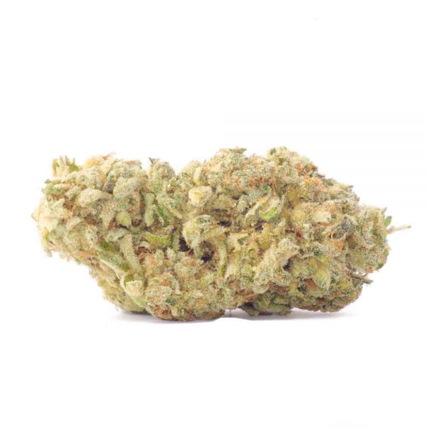 $90 Oz, $250 Qp, $480 Hp, $890 Lb – Comatose OG - Indica - AAA+