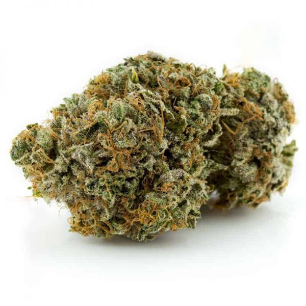 $75 Oz, $230 Qp, $420 Hp $780 Lb – Greasy Pink - Indica - AAA