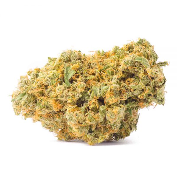 $90 Oz, $250 Qp, $480 Hp, $890 Lb – Ron Burgundy - Hybrid - AAA+