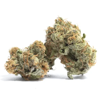 $75 Oz, $230 Qp, $420 Hp $780 Lb – Platinum Champagne - Sativa - AAA